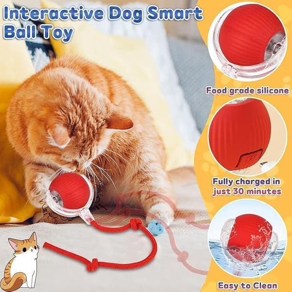 Automatic Cat Teaser Ball – Smart Interactive Motion Toy for Cats