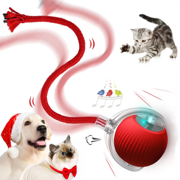 Automatic Cat Teaser Ball – Smart Interactive Motion Toy for Cats