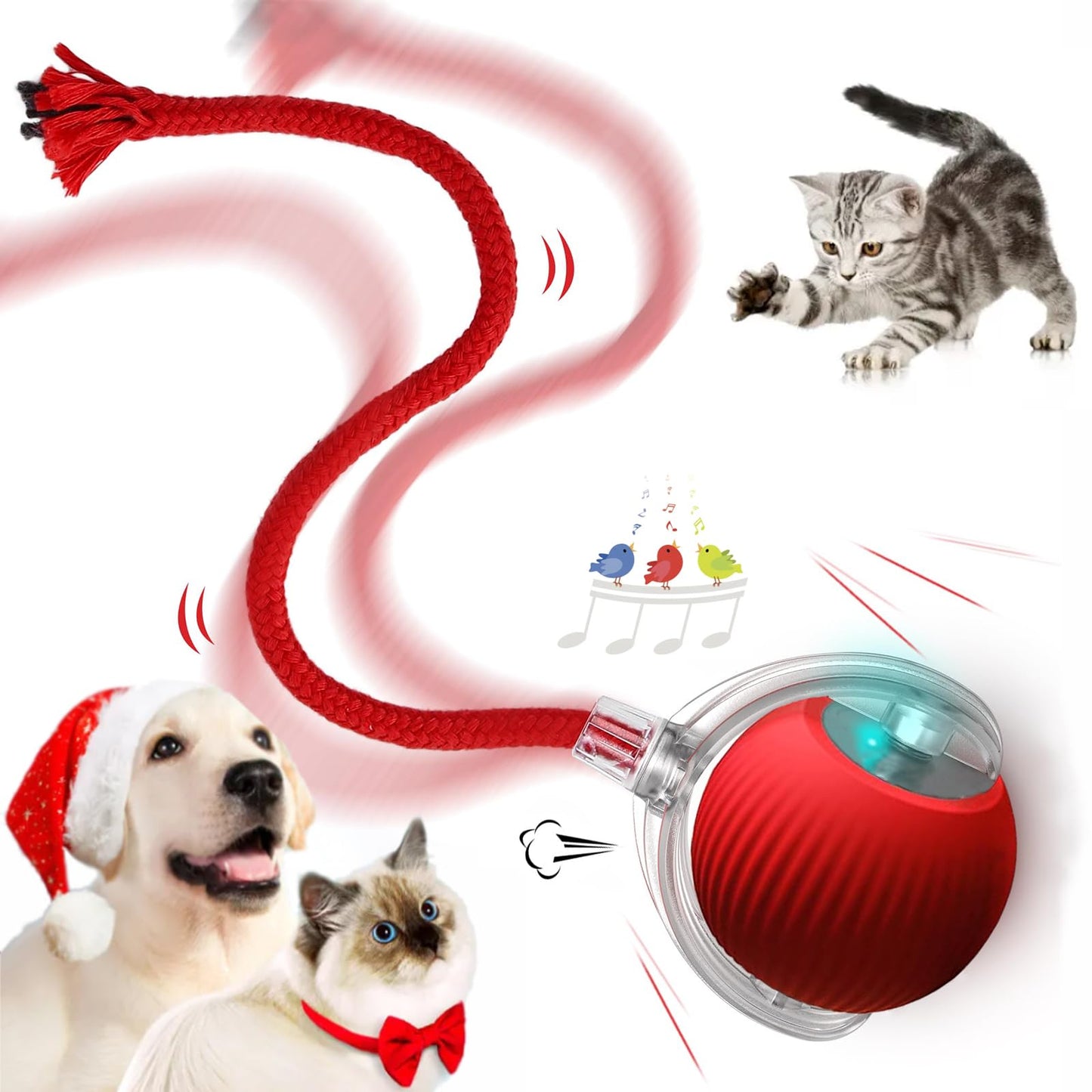 Automatic Cat Teaser Ball – Smart Interactive Motion Toy for Cats