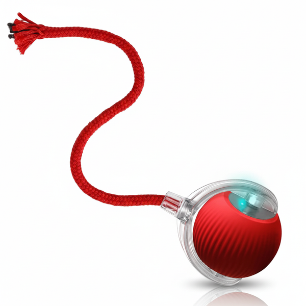 Automatic Cat Teaser Ball – Smart Interactive Motion Toy for Cats